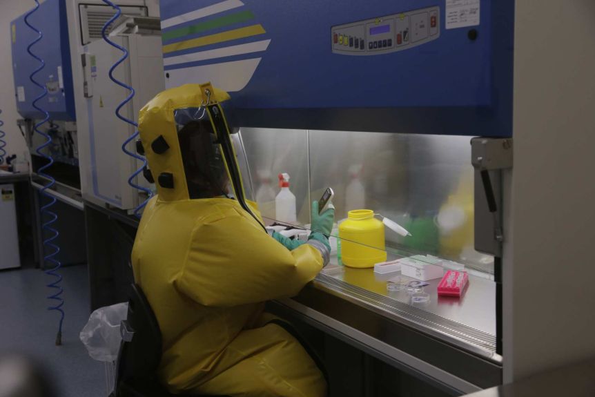 Virus that causes COVID-19 survives up to 28 days on surfaces, Australian scientists find